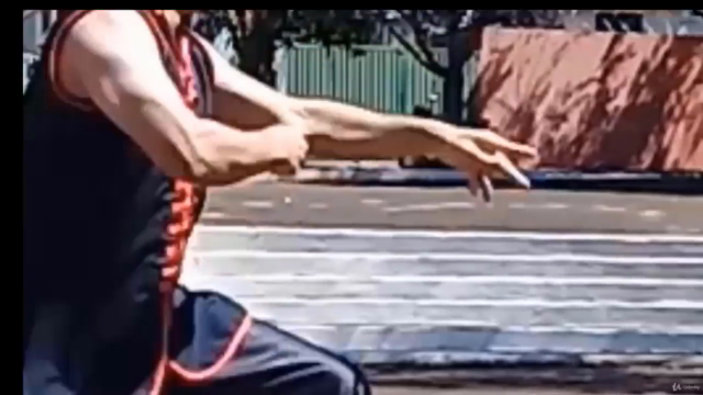 Curso de Kung-Fu Louva-a-deus 07 estrelas – Screenshot 3