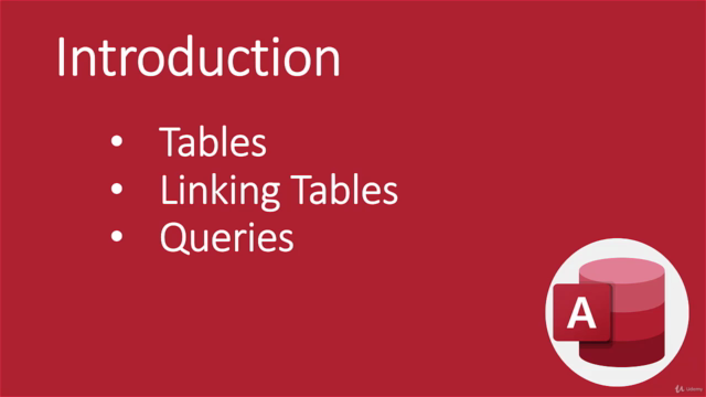 Microsoft Access 2019/365: Beginner To Advanced – Screenshot 2