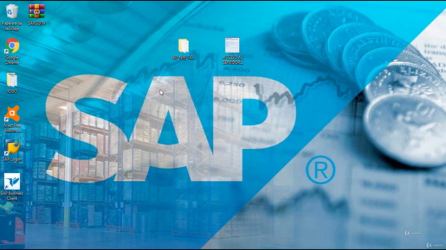 Curso Introducción Al Sistema SAP – Screenshot 3