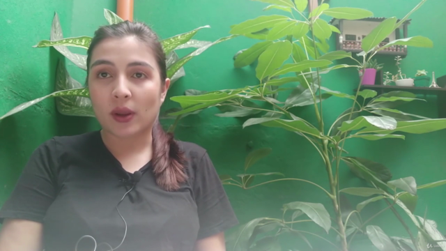 Embarazo y COVID 19 – Screenshot 2