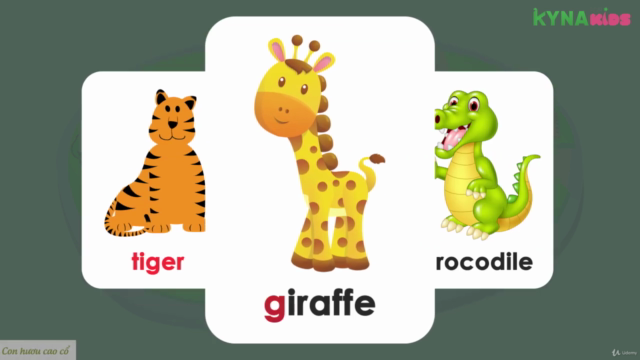 Essential English Vocabulary Words – Screenshot 4