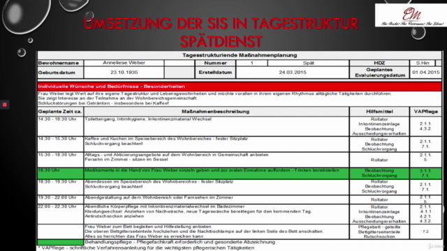 Die Strukturierte Informationssammlung SIS® - mit Zertifikat - Screenshot_03