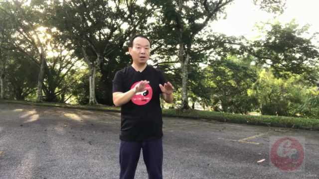 Authentic Fighting Tai Chi-Chen New Frame Routine (XinJia) 1 – Screenshot 2