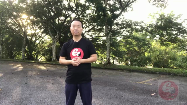 Authentic Fighting Tai Chi-Chen New Frame Routine (XinJia) 1 – Screenshot 3