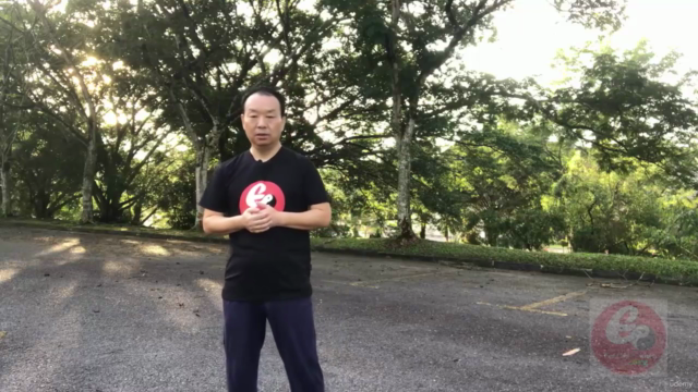 Authentic Fighting Tai Chi-Chen New Frame Routine (XinJia) 1 – Screenshot 4