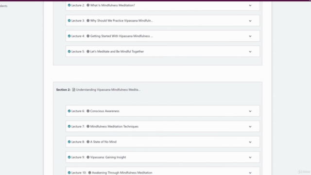 Vipassana Mindfulness Meditation: Awakening Without Woo Woo – Screenshot 3