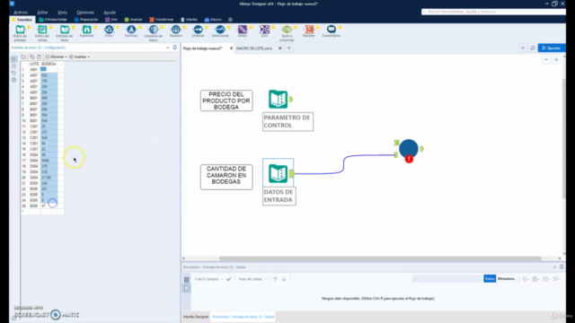 Alteryx Designer: Curso Nivel Avanzado en Español (3 de 3) – Screenshot 4