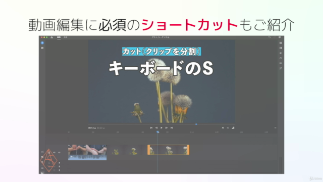 【Premiere Rush初心者向け】1時間で学べる!動画編集の基本と応用テクニック集 – Screenshot 2