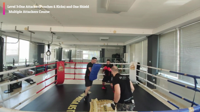 Krav Maga Complete Course For Fighting Multiple Attackers. – Screenshot 2
