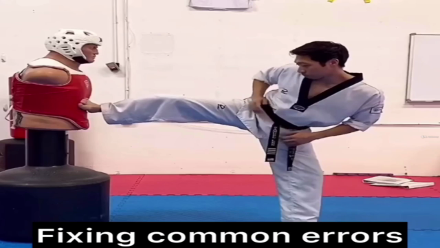 The Mechanics of Taekwondo Kicking Technique - Volume 2 – Screenshot 1