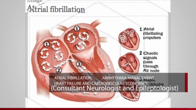 Master Cardiac Imaging: CT, MRI, Echo & Nuclear Medicine – Screenshot 1