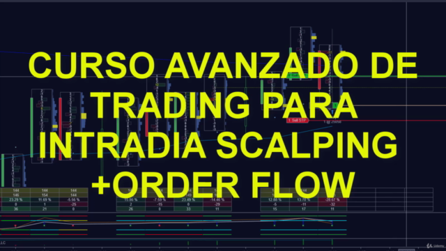 CURSO AVANZADO DE TRADING PARA INTRADIA SCALPING ORDER FLOW – Screenshot 3
