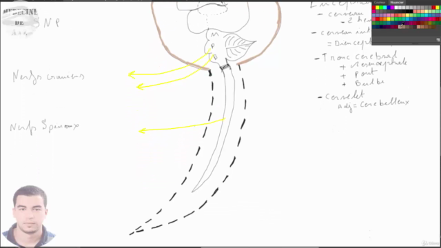 formation complète en anatomie humaine – Screenshot 1