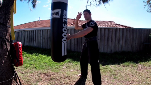 Iron Body Martial Arts-Iron Hand Method – Screenshot 3