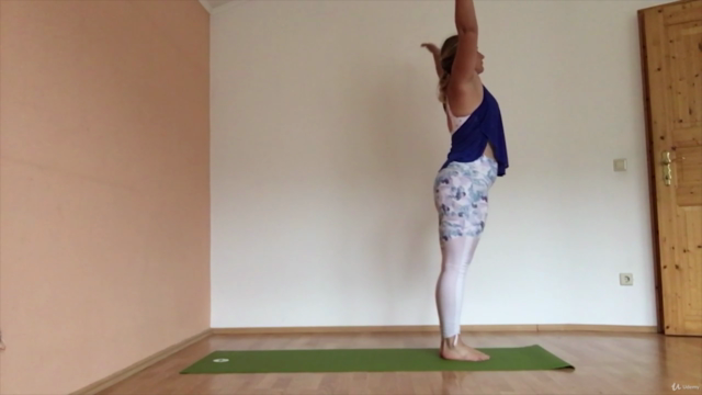 Yoga Alignment: Introduction, Philosophy & Practice – Screenshot 1