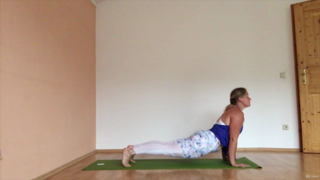 Yoga Alignment: Introduction, Philosophy & Practice – Screenshot 2