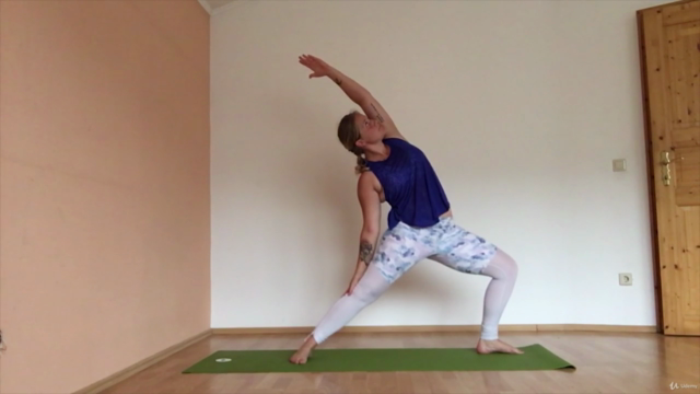 Yoga Alignment: Introduction, Philosophy & Practice – Screenshot 3