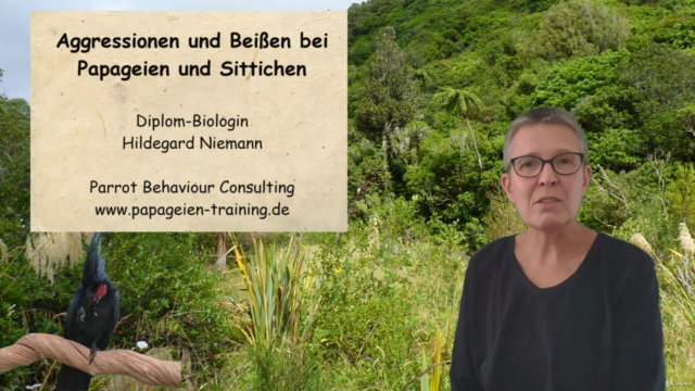 Aggression und Beißen bei Papageien und Sittichen – Screenshot 3