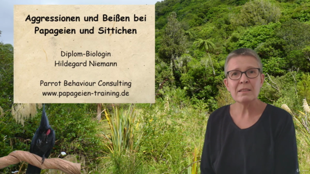 Aggression und Beißen bei Papageien und Sittichen – Screenshot 4