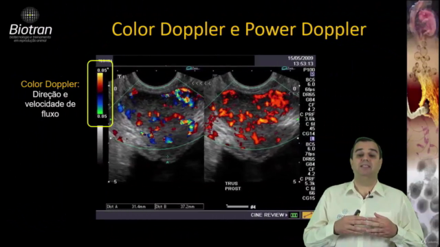 Ultrassonografia Doppler Colorido em Bovinos – Screenshot 1