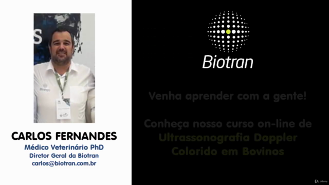 Ultrassonografia Doppler Colorido em Bovinos – Screenshot 4