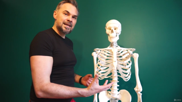 Self Deep Massage Course to gain Vitality and Live Pain Free – Screenshot 4