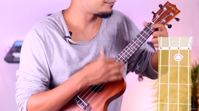 BEGINNERS UKULELE LESSONS (IN HINDI) – Screenshot 3