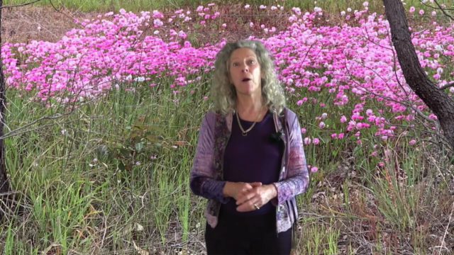 Extend Your Shamanism Practice With Breathwork Techniques – Screenshot 3