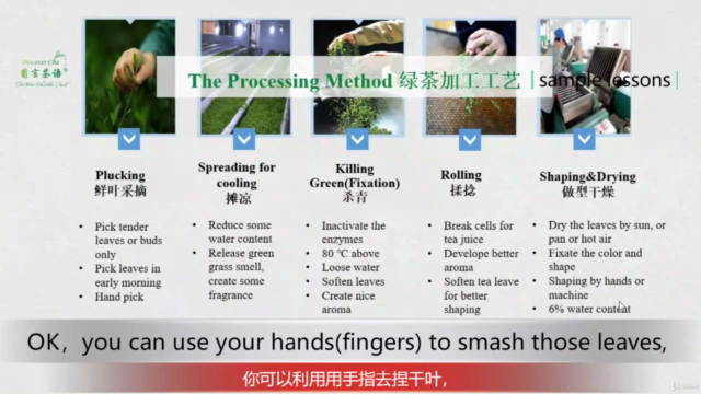 Chapter Two of Chinese Tea Art Micro-course: Green Tea 绿茶篇 – Screenshot 3