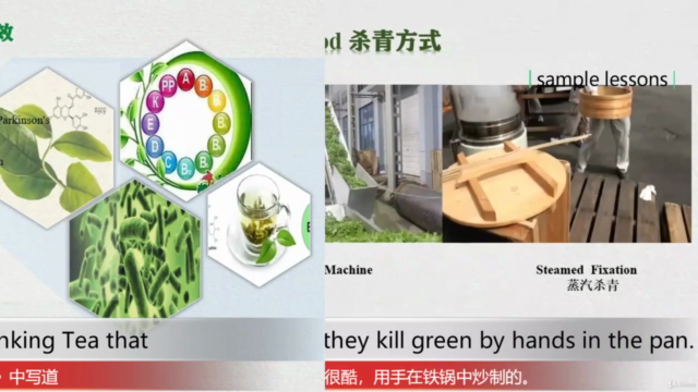Chapter Two of Chinese Tea Art Micro-course: Green Tea 绿茶篇 – Screenshot 4