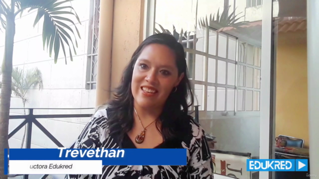 Freelancer Exitoso - Estrategias, Herramientas y Teletrabajo – Screenshot 2