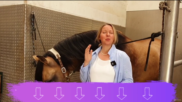 Blutegel Therapie für Pferd und Hund – Screenshot 1