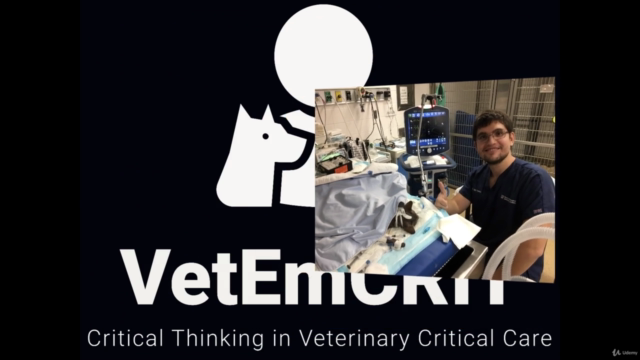 Point-of-care ultrasound in animals with shock – Screenshot 1