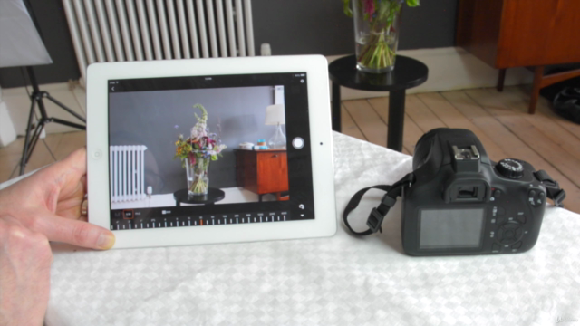 Photography - Canon EOS 4000D/REBEL T100 Camera User Course – Screenshot 4