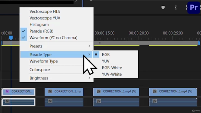 Adobe Premiere Pro Course for Beginners: Video Editing 2024 - Screenshot_04