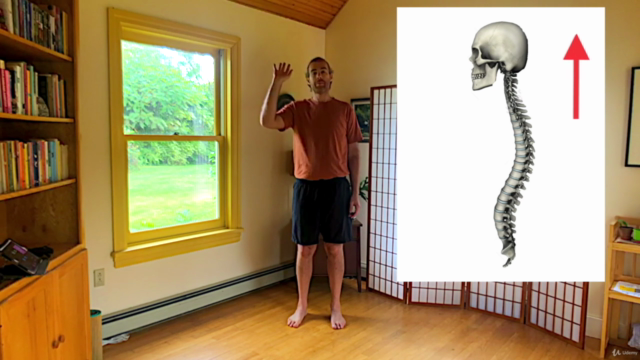Improve Your Posture Now!! – Screenshot 4