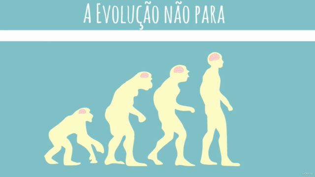 Demonstração do Resultado do Exercício no Python – Screenshot 2