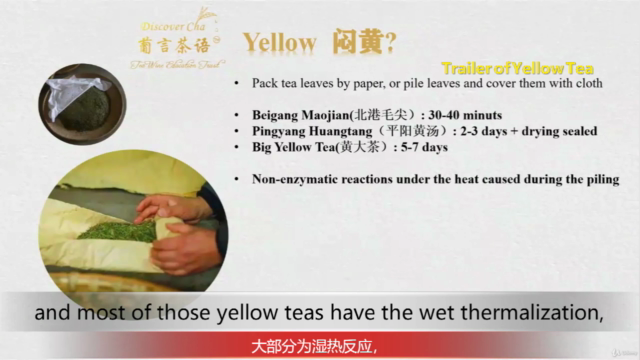 Chapter3/4: All the Yellow Tea and White Tea in China – Screenshot 1
