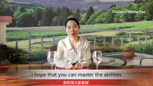 Chapter3/4: All the Yellow Tea and White Tea in China – Screenshot 3