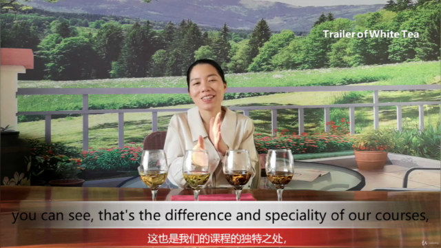 Chapter3/4: All the Yellow Tea and White Tea in China – Screenshot 4