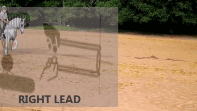 105 RIDE VERBATIM:  The 4 NATURAL AIDS – Screenshot 3