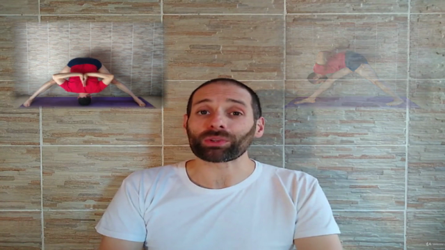 Yoga: Profundiza y Refina tu Práctica con el Método Iyengar – Screenshot 1
