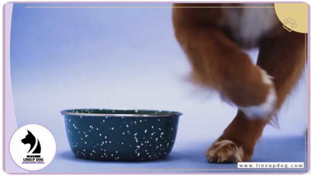 Manejo del Perro para Cuidadores Caninos – Screenshot 2
