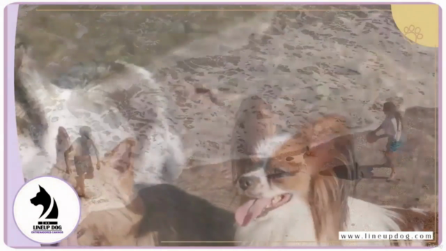 Principios de Aprendizaje del Perro – Screenshot 2