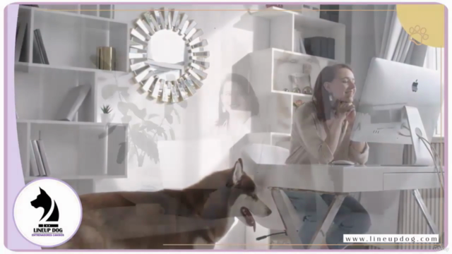 Principios de Aprendizaje del Perro – Screenshot 4