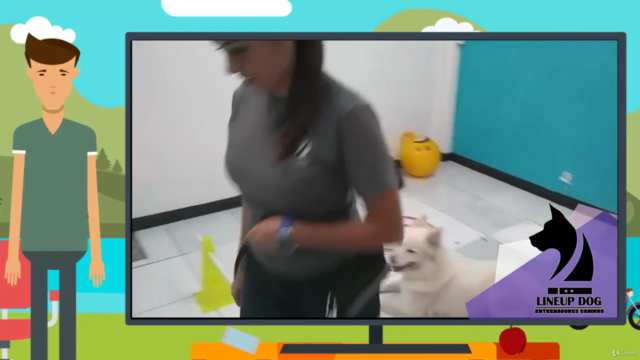 El Método Perfecto Para Educar a Tu Perro en Casa – Screenshot 2