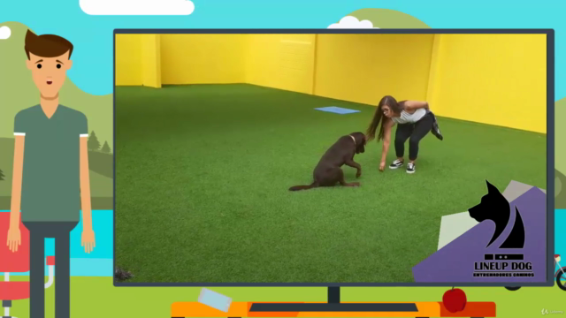 El Método Perfecto Para Educar a Tu Perro en Casa – Screenshot 3
