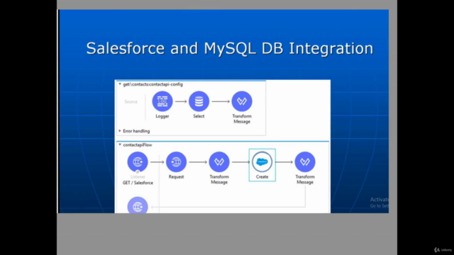 MuleSoft and Salesforce Integration Real Time Project – Screenshot 2