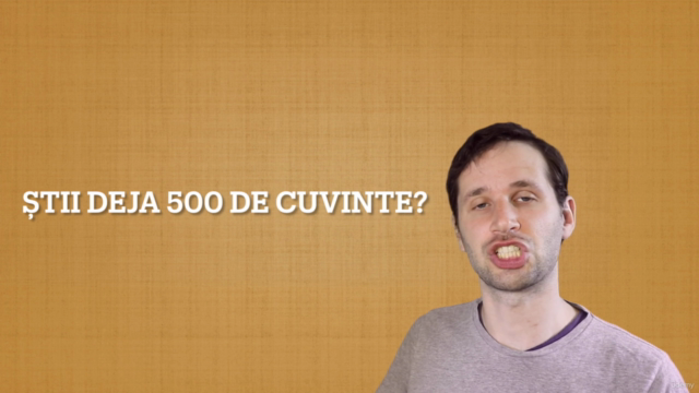Olandeză în olandeză 3: cele mai folosite 1000 de cuvinte – Screenshot 4