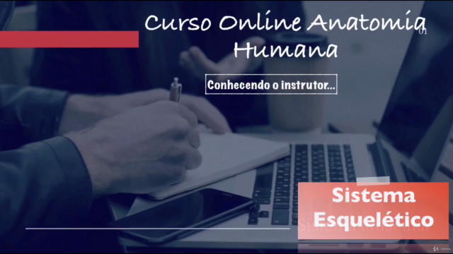 Curso Online - Anatomia Humana (Sistema Esquelético) – Screenshot 1